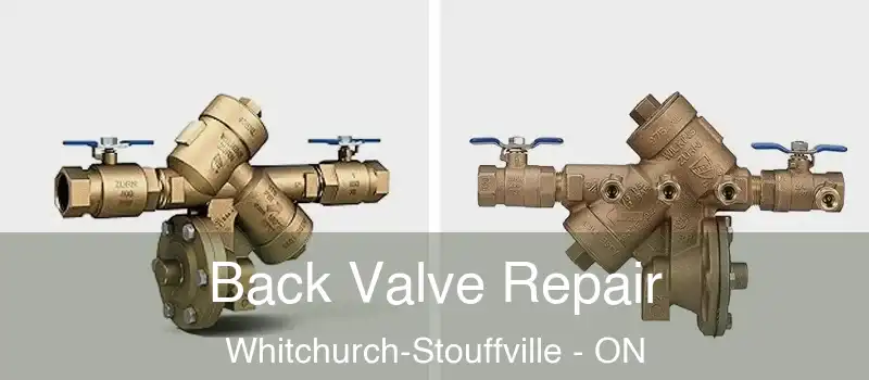 Back Valve Repair Whitchurch-Stouffville - ON