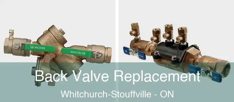  Back Valve Replacement Whitchurch-Stouffville - ON