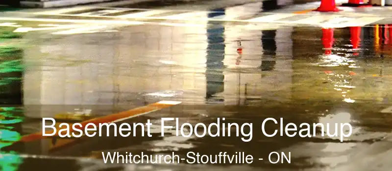  Basement Flooding Cleanup Whitchurch-Stouffville - ON