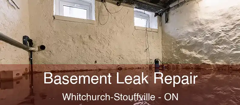  Basement Leak Repair Whitchurch-Stouffville - ON
