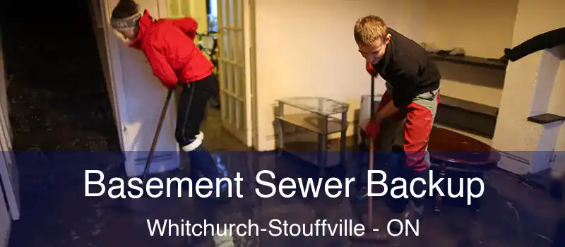 Basement Sewer Backup Whitchurch-Stouffville - ON