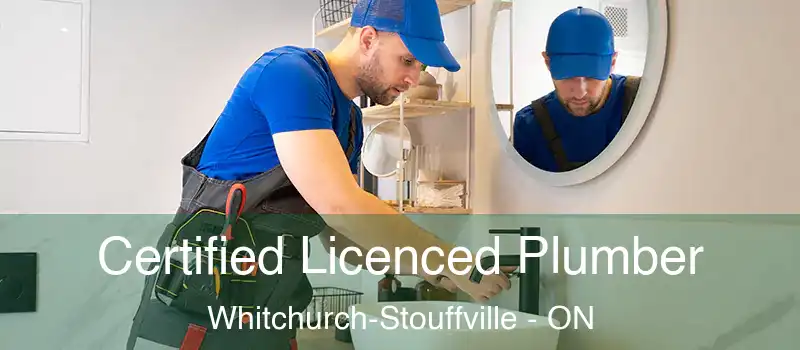  Certified Licenced Plumber Whitchurch-Stouffville - ON