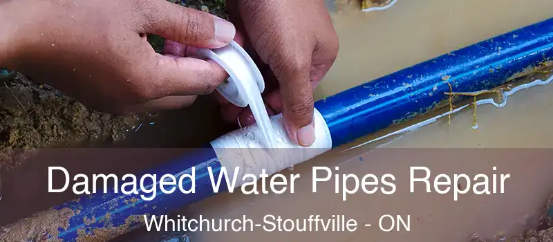  Damaged Water Pipes Repair Whitchurch-Stouffville - ON