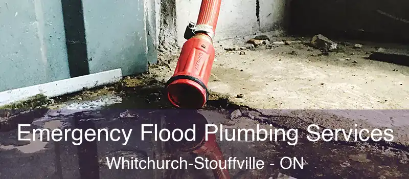  Emergency Flood Plumbing Services Whitchurch-Stouffville - ON