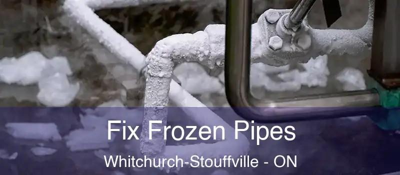  Fix Frozen Pipes Whitchurch-Stouffville - ON