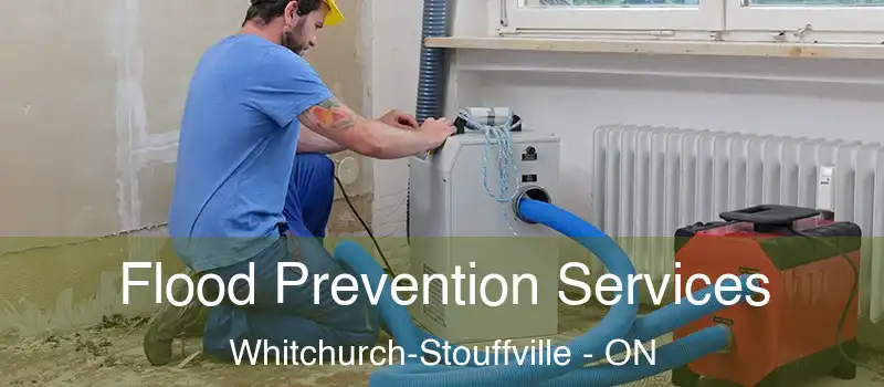  Flood Prevention Services Whitchurch-Stouffville - ON