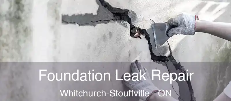  Foundation Leak Repair Whitchurch-Stouffville - ON