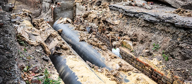 Commercial Sewer Tree Roots Damage Solutions in Whitchurch-Stouffville, ON