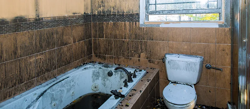 Residential Water Damage Restoration in Whitchurch-Stouffville, ON
