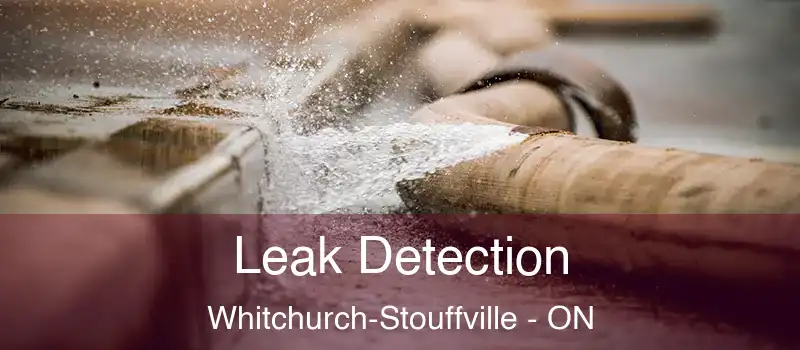  Leak Detection Whitchurch-Stouffville - ON