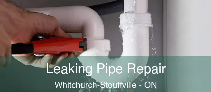  Leaking Pipe Repair Whitchurch-Stouffville - ON