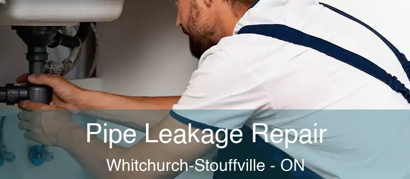  Pipe Leakage Repair Whitchurch-Stouffville - ON