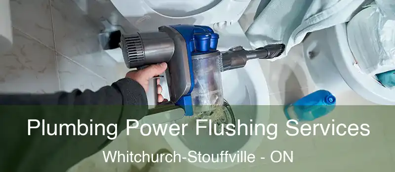  Plumbing Power Flushing Services Whitchurch-Stouffville - ON
