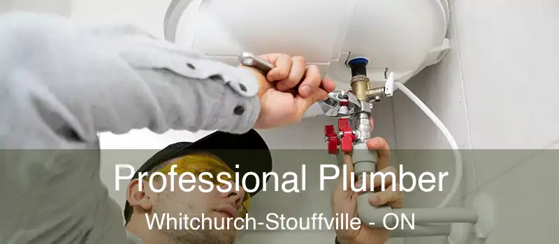  Professional Plumber Whitchurch-Stouffville - ON