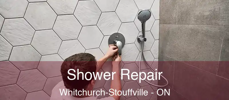  Shower Repair Whitchurch-Stouffville - ON