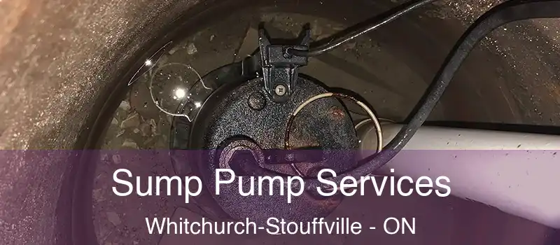  Sump Pump Services Whitchurch-Stouffville - ON