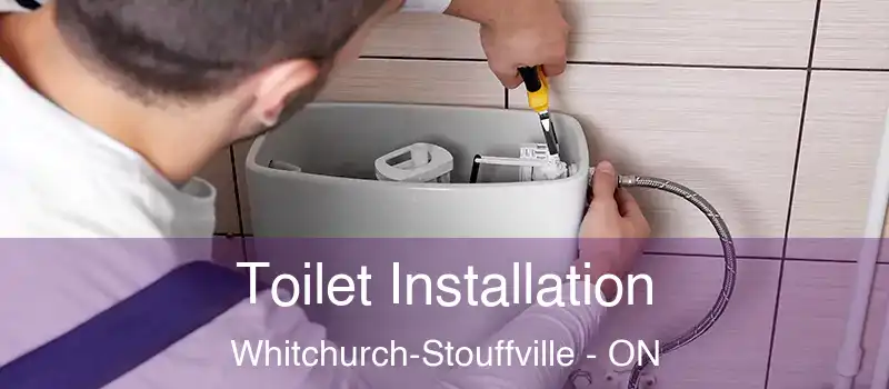  Toilet Installation Whitchurch-Stouffville - ON
