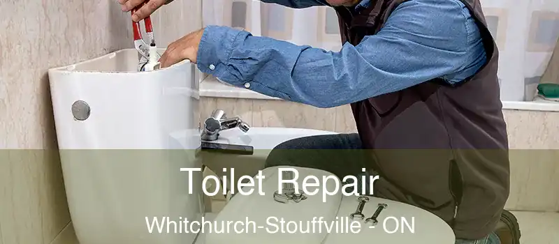  Toilet Repair Whitchurch-Stouffville - ON