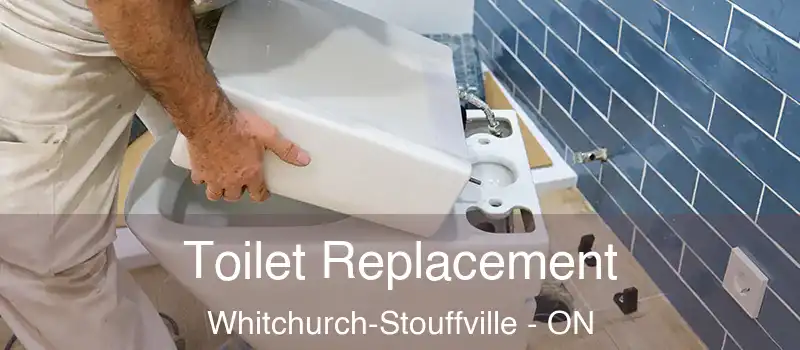  Toilet Replacement Whitchurch-Stouffville - ON