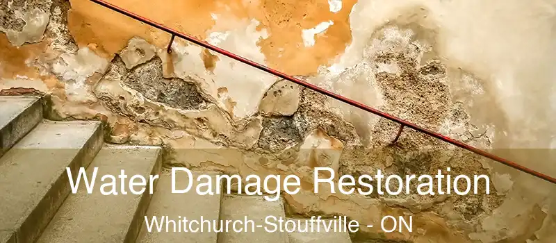  Water Damage Restoration Whitchurch-Stouffville - ON