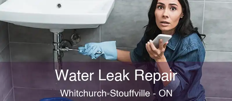  Water Leak Repair Whitchurch-Stouffville - ON