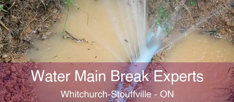  Water Main Break Experts Whitchurch-Stouffville - ON