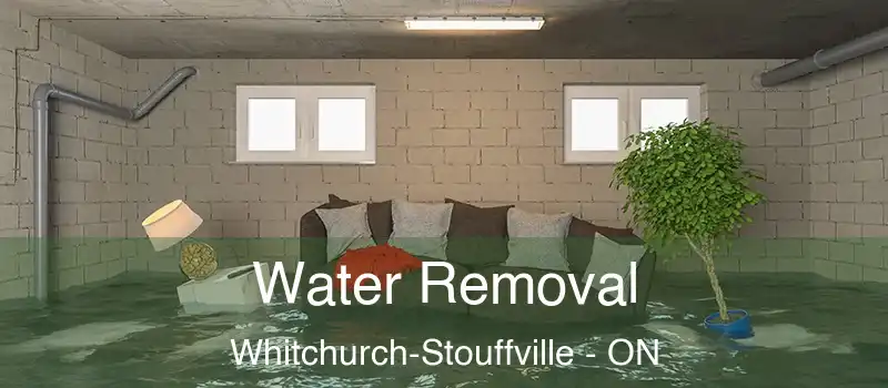  Water Removal Whitchurch-Stouffville - ON