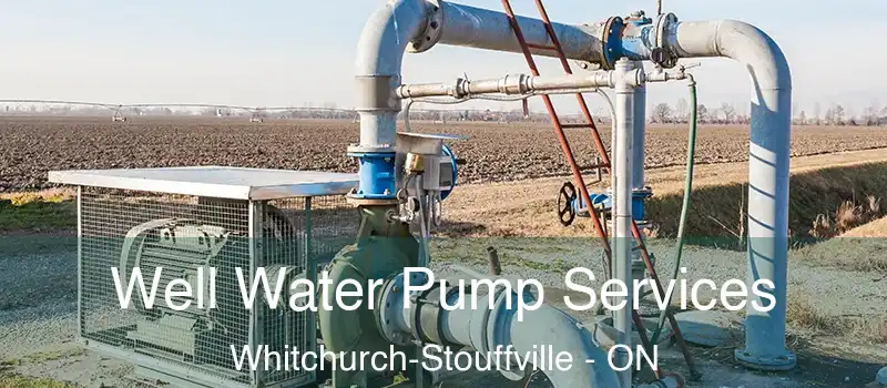  Well Water Pump Services Whitchurch-Stouffville - ON